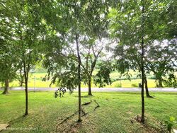 Blk 242 Bishan Street 22 (Bishan), HDB 5 Rooms #452335761